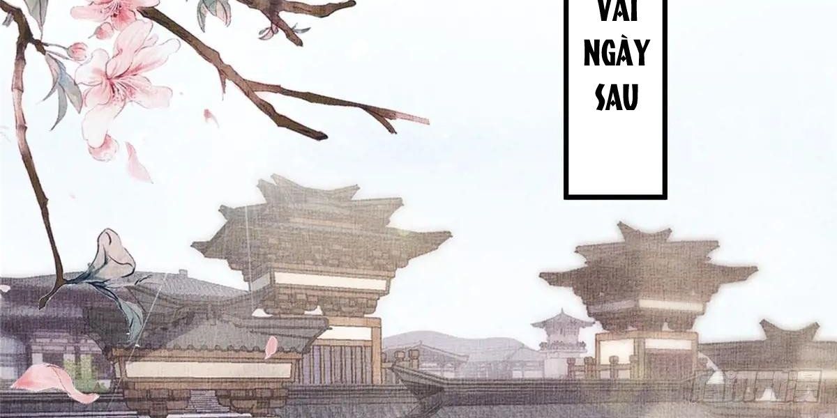 Ngày Nào Trưởng Công Chúa Cũng Muốn Làm Phản Chapter 74 - Trang 2