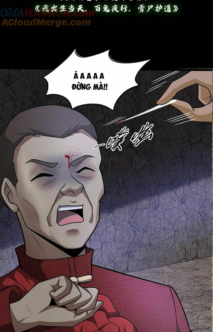 Ngày Tôi Sinh Ra, Bách Quỷ Dạ Hành, Tuyết Thi Hộ Đạo Chapter 113 - Trang 2