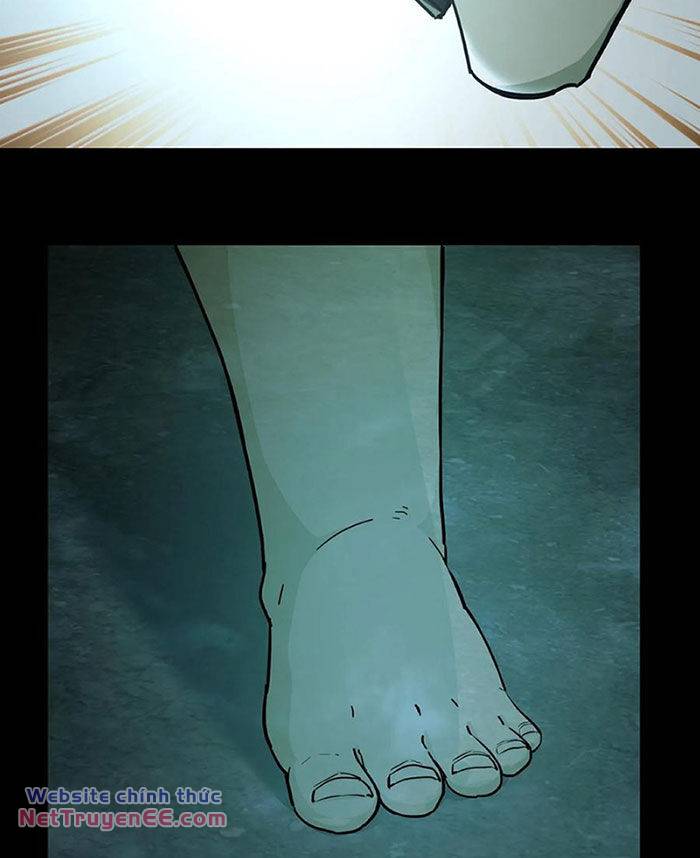 Ngày Tôi Sinh Ra, Bách Quỷ Dạ Hành, Tuyết Thi Hộ Đạo Chapter 114 - Trang 2