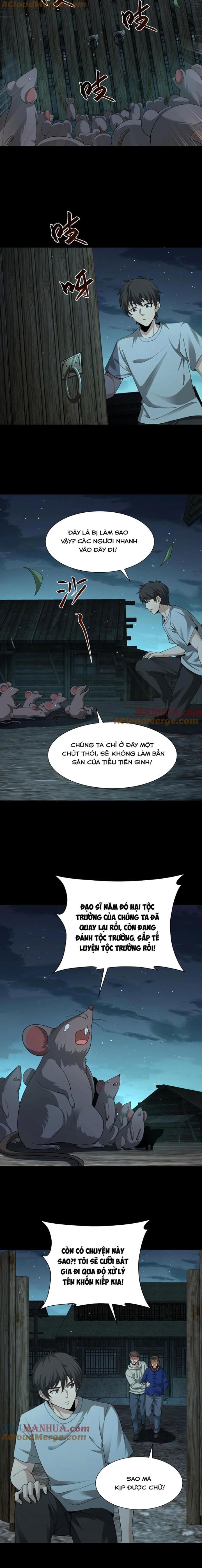 Ngày Tôi Sinh Ra, Bách Quỷ Dạ Hành, Tuyết Thi Hộ Đạo Chapter 217 - Trang 2