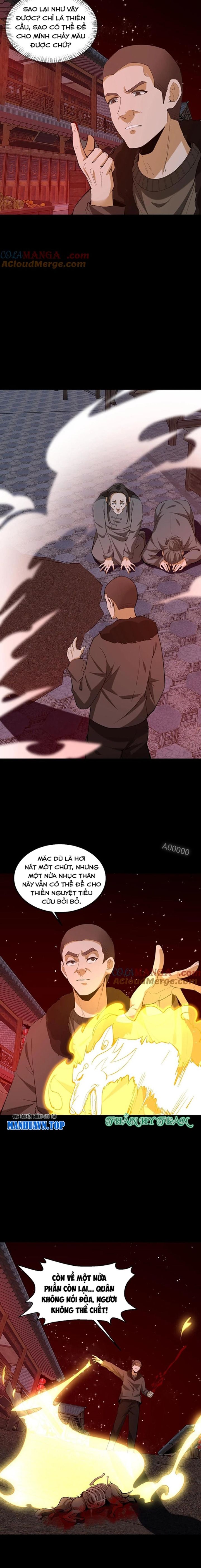 Ngày Tôi Sinh Ra, Bách Quỷ Dạ Hành, Tuyết Thi Hộ Đạo Chapter 328 - Trang 2