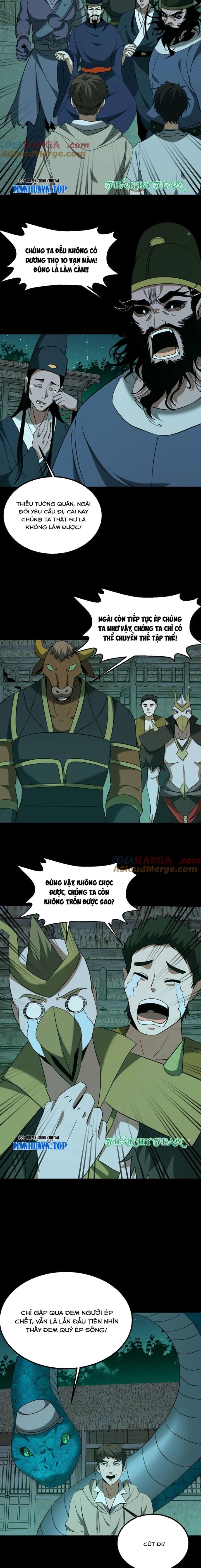 Ngày Tôi Sinh Ra, Bách Quỷ Dạ Hành, Tuyết Thi Hộ Đạo Chapter 431 - Trang 2