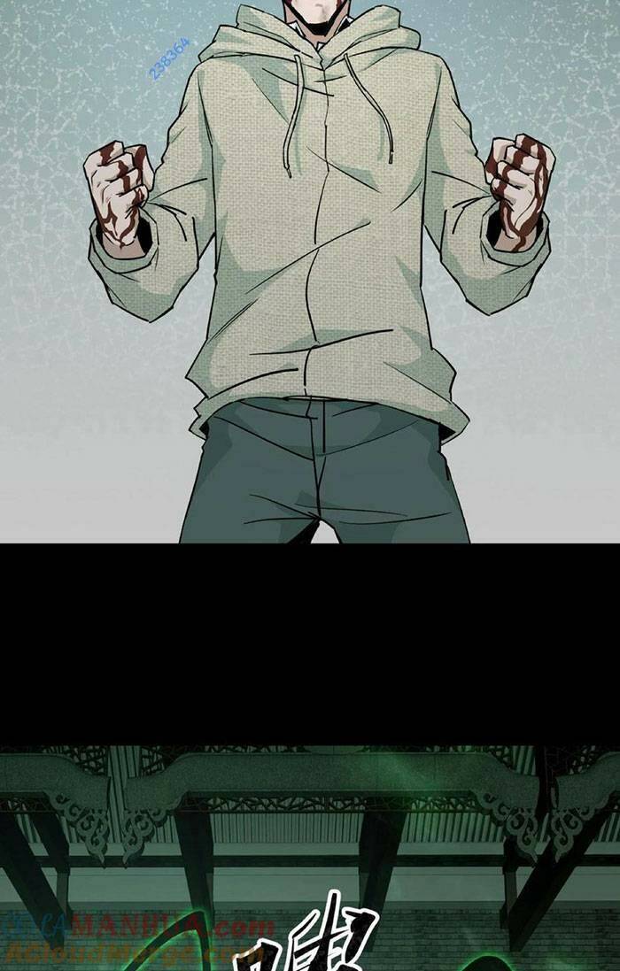 Ngày Tôi Sinh Ra, Bách Quỷ Dạ Hành, Tuyết Thi Hộ Đạo Chapter 55 - Trang 2