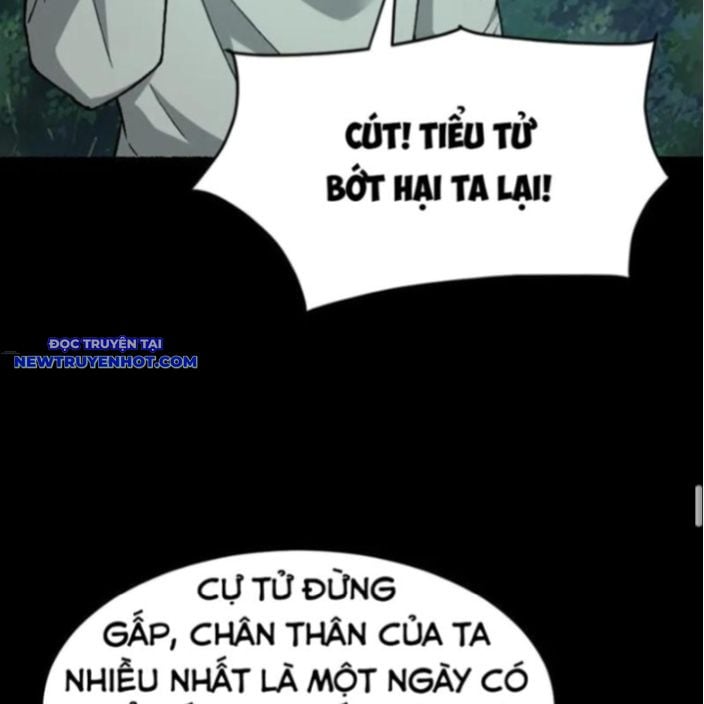 Ngày Tôi Sinh Ra, Bách Quỷ Dạ Hành, Tuyết Thi Hộ Đạo Chapter 550 - Trang 2