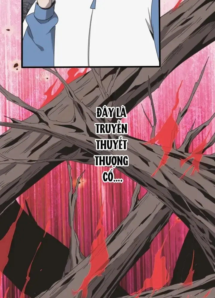 Ngày Tôi Sinh Ra, Bách Quỷ Dạ Hành, Tuyết Thi Hộ Đạo Chapter 587 - Trang 2