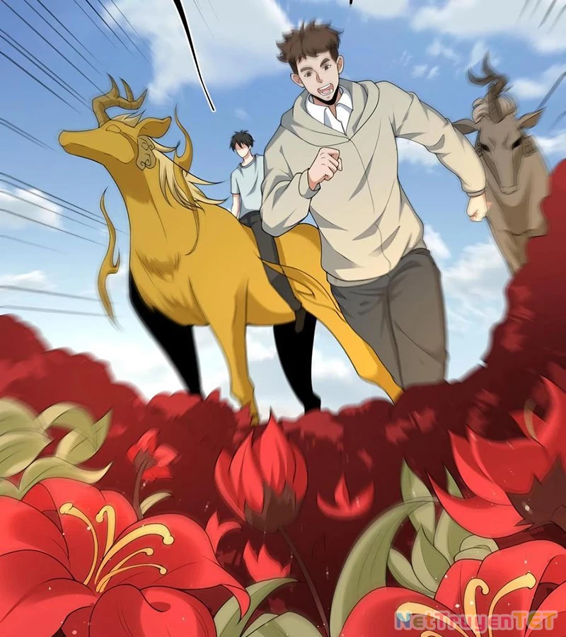 Ngày Tôi Sinh Ra, Bách Quỷ Dạ Hành, Tuyết Thi Hộ Đạo Chapter 602 - Trang 2