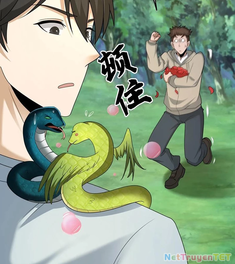 Ngày Tôi Sinh Ra, Bách Quỷ Dạ Hành, Tuyết Thi Hộ Đạo Chapter 602 - Trang 2