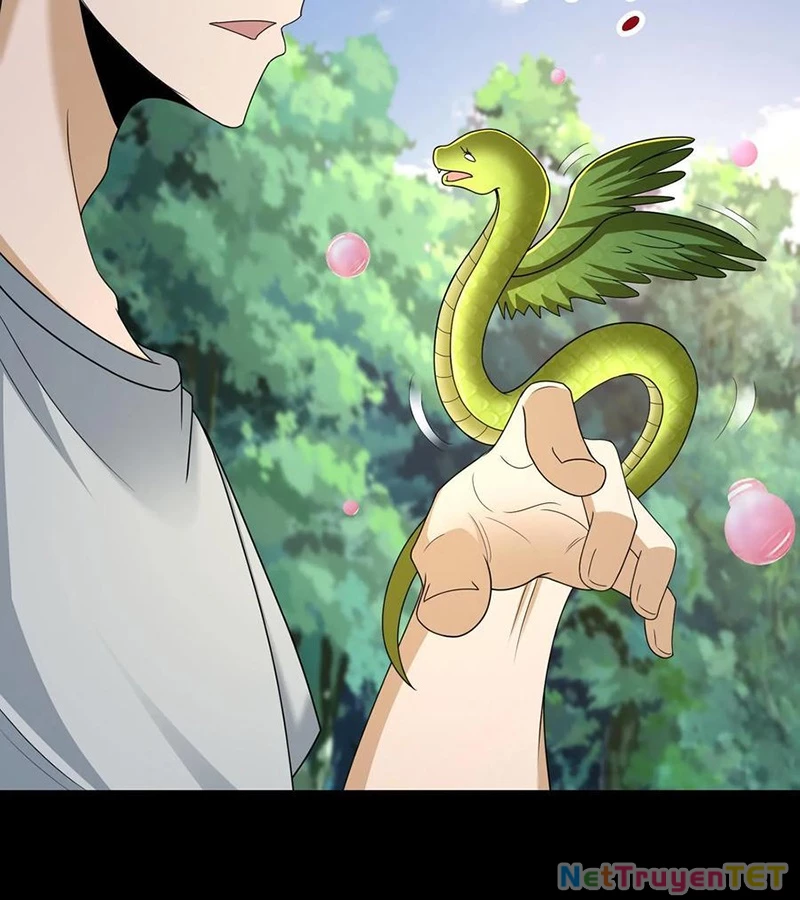 Ngày Tôi Sinh Ra, Bách Quỷ Dạ Hành, Tuyết Thi Hộ Đạo Chapter 602 - Trang 2