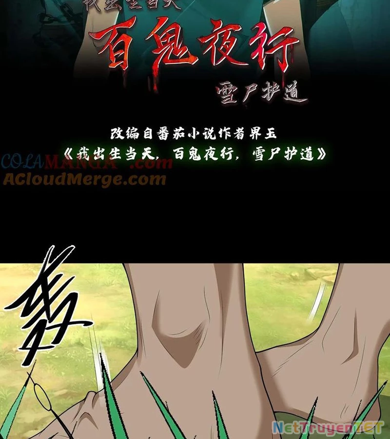 Ngày Tôi Sinh Ra, Bách Quỷ Dạ Hành, Tuyết Thi Hộ Đạo Chapter 603 - Trang 2