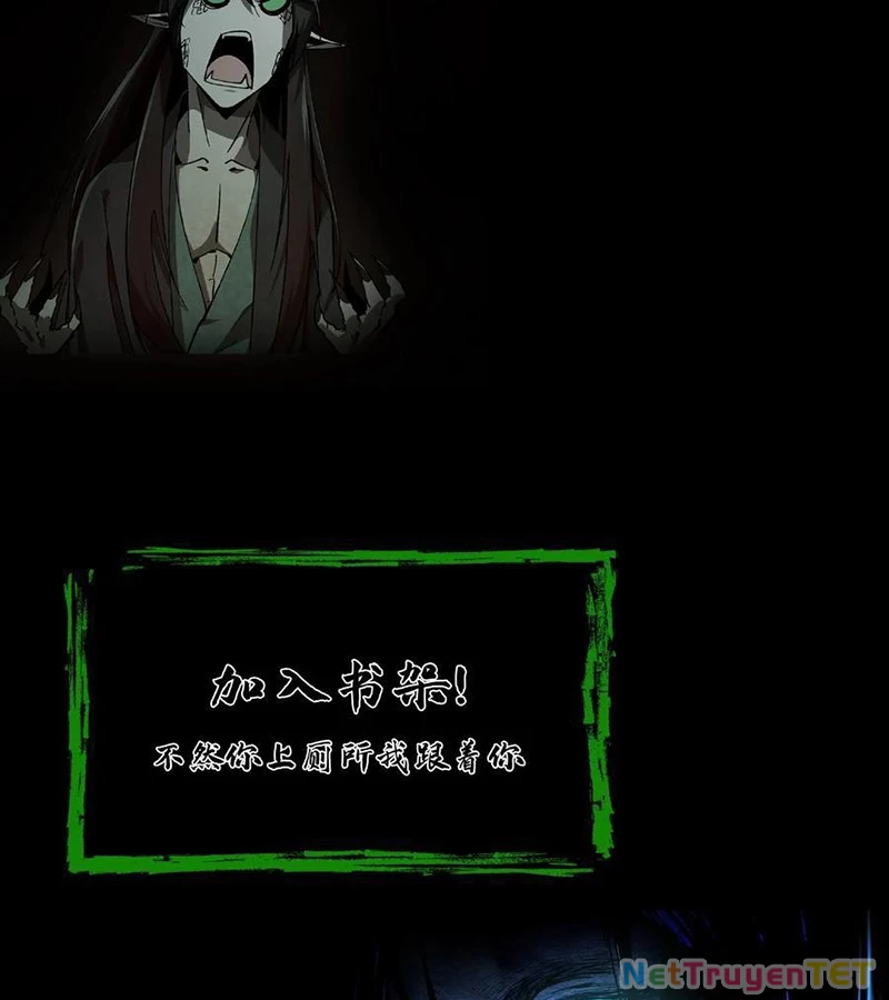 Ngày Tôi Sinh Ra, Bách Quỷ Dạ Hành, Tuyết Thi Hộ Đạo Chapter 603 - Trang 2