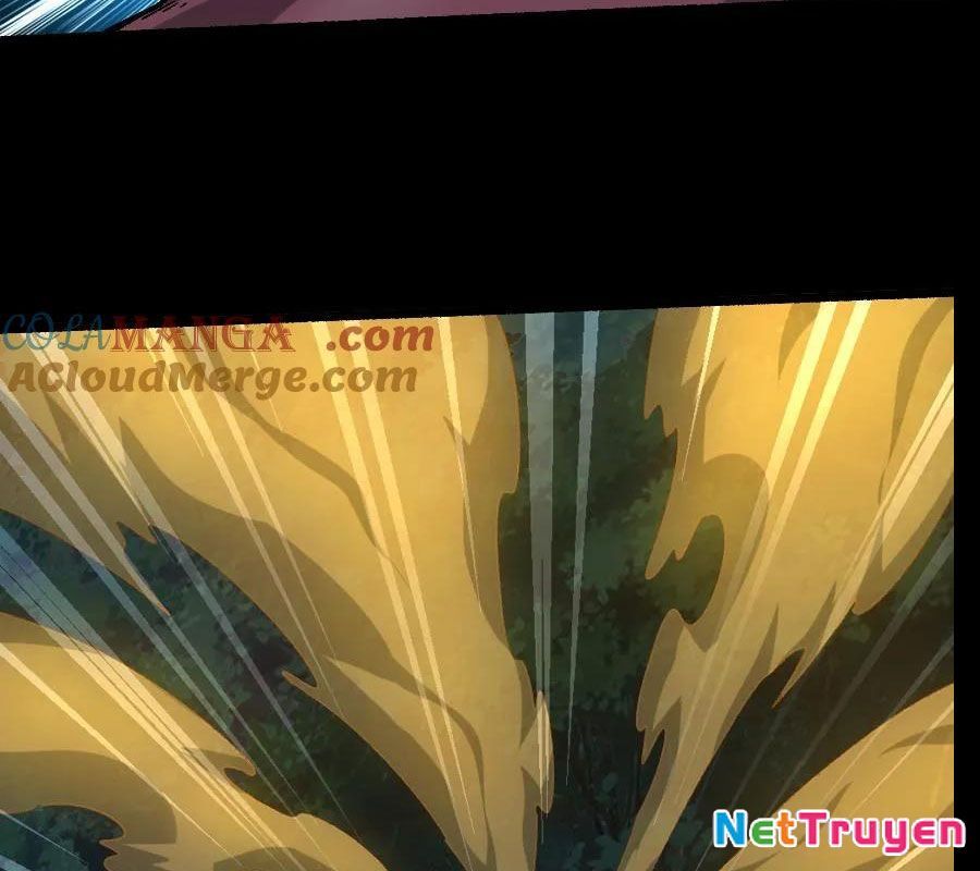 Ngày Tôi Sinh Ra, Bách Quỷ Dạ Hành, Tuyết Thi Hộ Đạo Chapter 691 - Trang 2