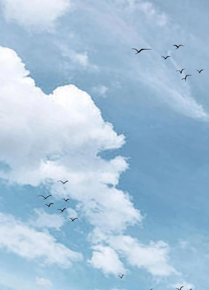 Ngày Tôi Sinh Ra, Bách Quỷ Dạ Hành, Tuyết Thi Hộ Đạo Chapter 703 - Trang 2