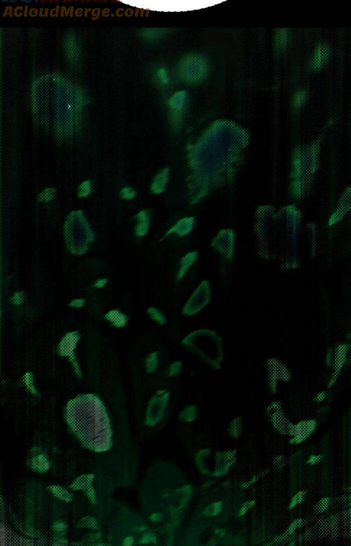 Ngày Tôi Sinh Ra, Bách Quỷ Dạ Hành, Tuyết Thi Hộ Đạo Chapter 98 - Trang 2