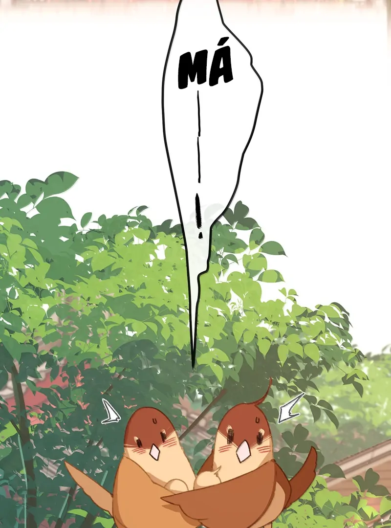 Nghe Nói Thái Hậu Với Thái Hậu Là Thật Sao?! Chapter 76 - Trang 2
