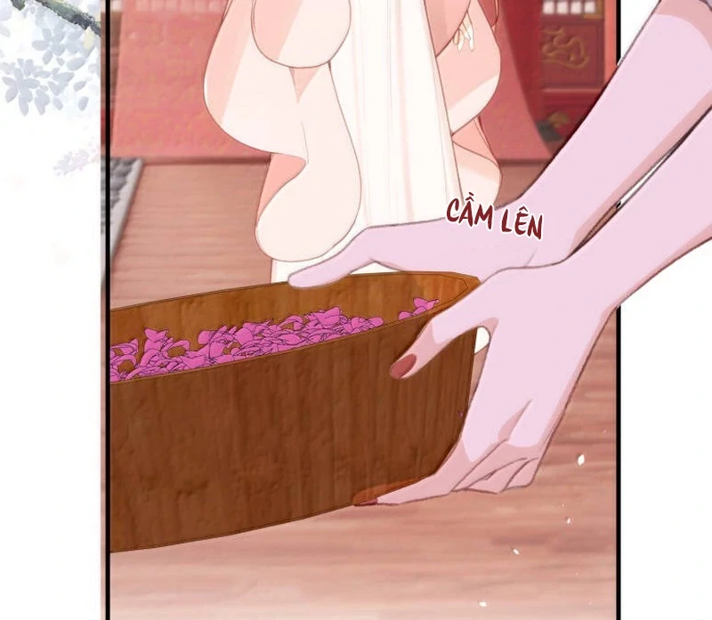 Nghe Nói Thái Hậu Với Thái Hậu Là Thật Sao?! Chapter 81 - Trang 2