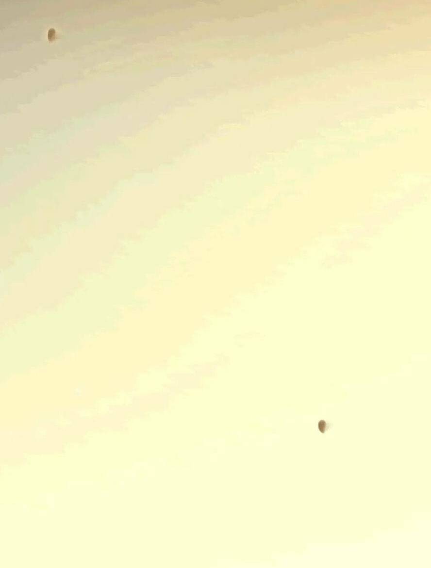 Nghịch Đồ Mỗi Ngày Đều Muốn Bắt Nạt Sư Phụ Chapter 140 - Trang 2