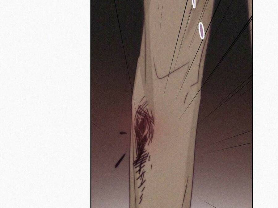 Nghịch Tập Chi Hảo Dựng Nhân Sinh Chapter 174 - Trang 2