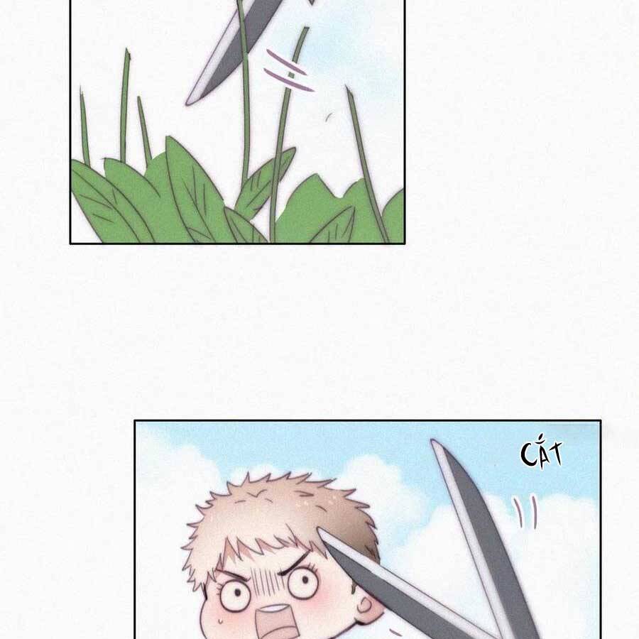 Nghịch Tập Chi Hảo Dựng Nhân Sinh Chapter 191 - Trang 2