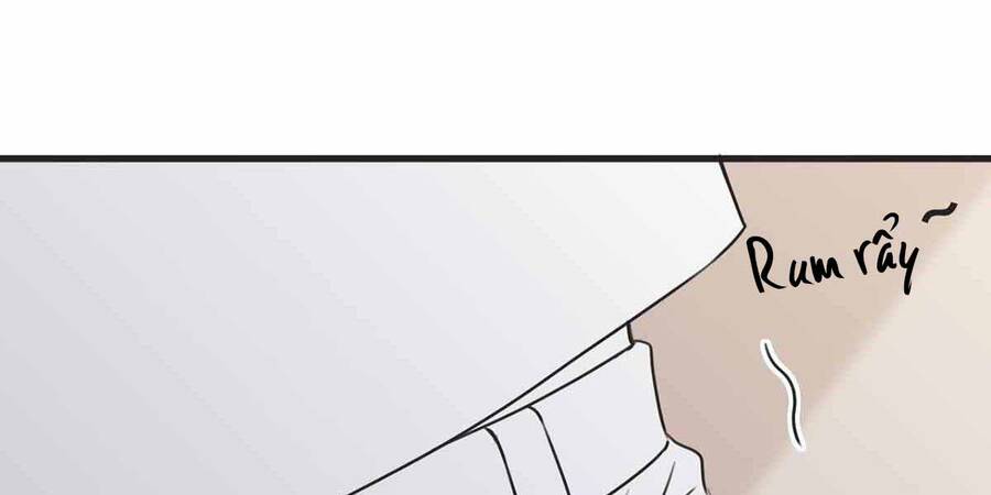 Nghịch Tập Chi Hảo Dựng Nhân Sinh Chapter 197 - Trang 2