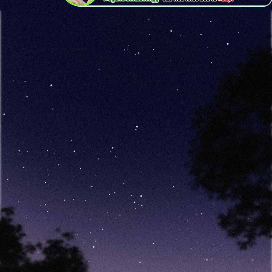 Nghịch Tập Chi Hảo Dựng Nhân Sinh Chapter 209 - Trang 2