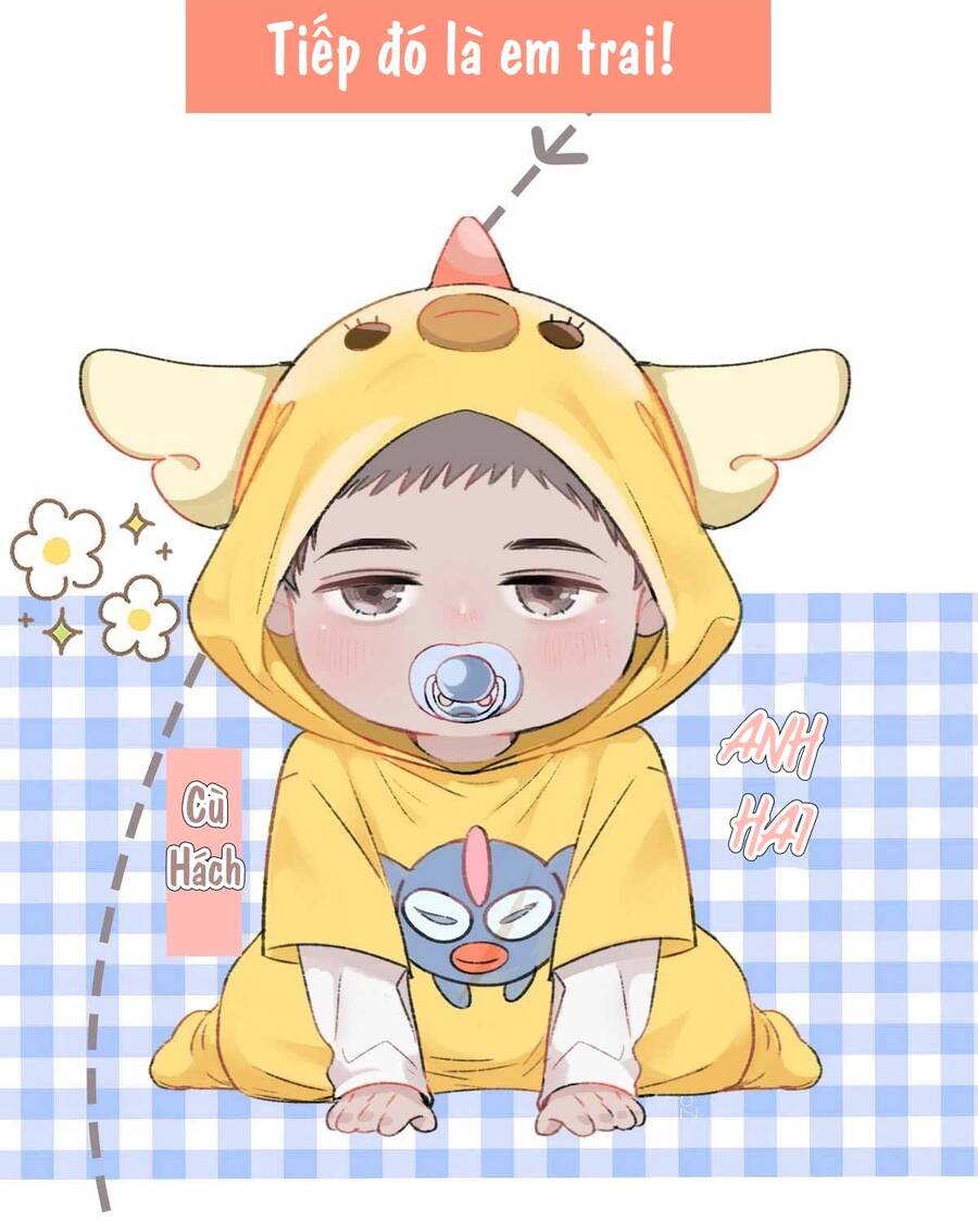 Nghịch Tập Chi Hảo Dựng Nhân Sinh Chapter 229 - Trang 2