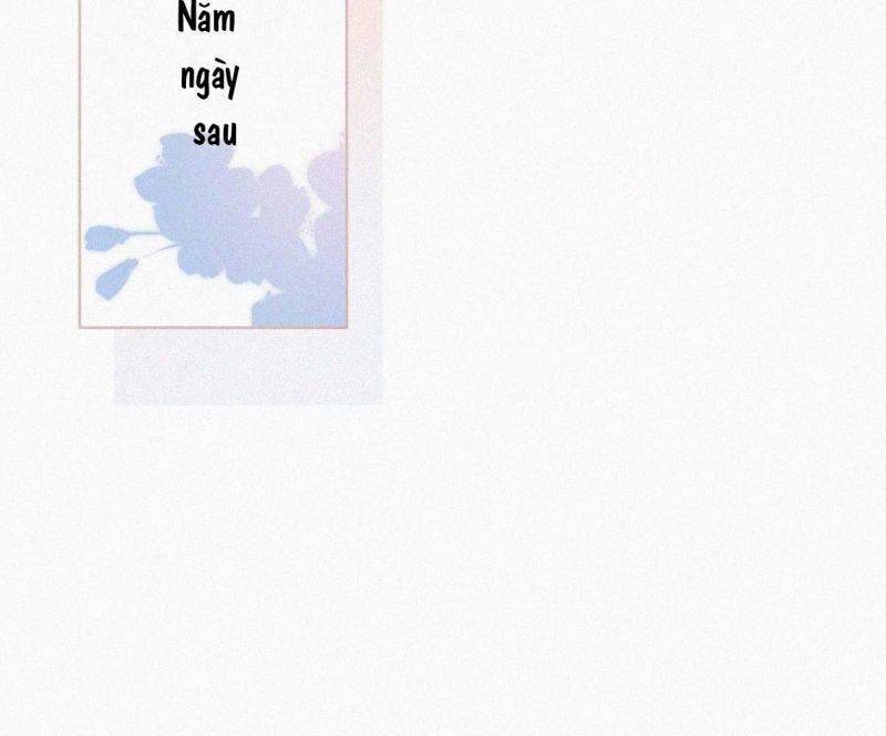 Nghịch Tập Chi Hảo Dựng Nhân Sinh Chapter 254 - Trang 2