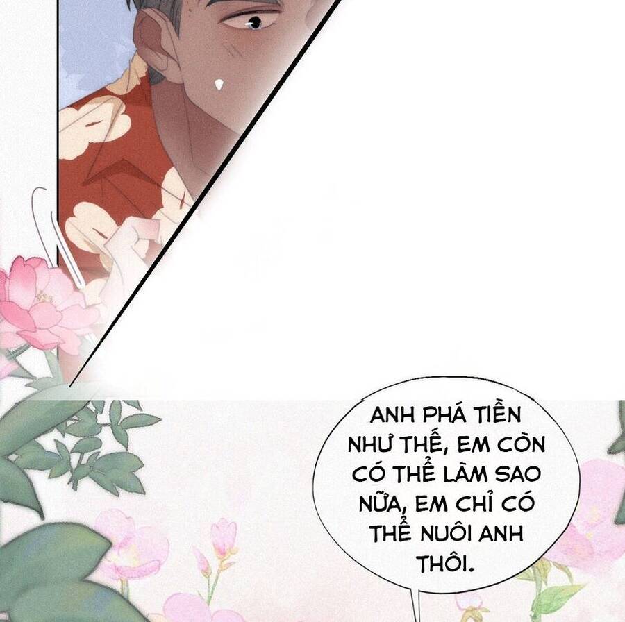 Nghịch Tập Chi Hảo Dựng Nhân Sinh Chapter 284 - Trang 2