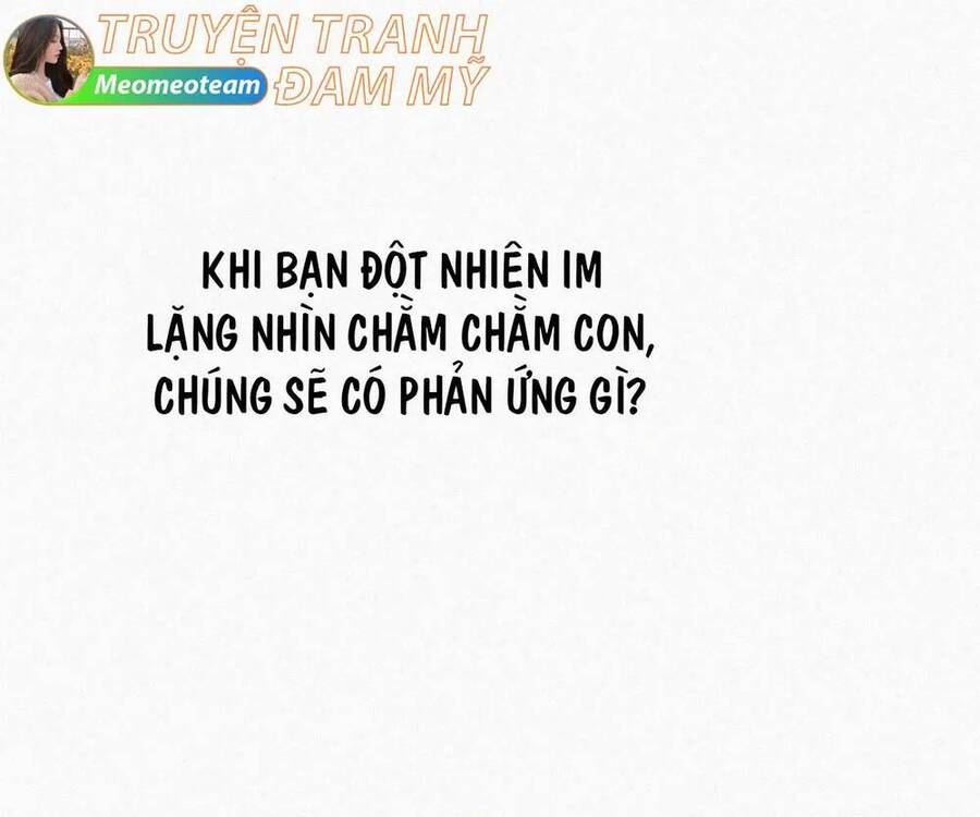Nghịch Tập Chi Hảo Dựng Nhân Sinh Chapter 301 - Trang 2