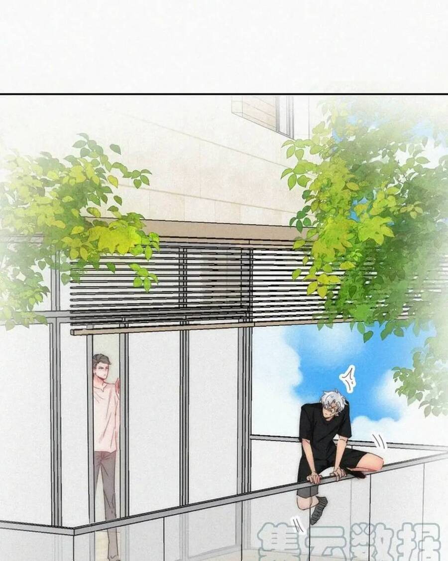 Nghịch Tập Chi Hảo Dựng Nhân Sinh Chapter 303 - Trang 2