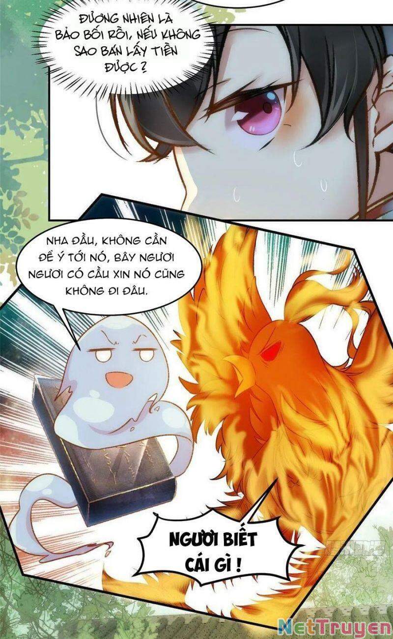 Nghịch Thiên Thần Phi Chí Thượng Chapter 19 - Trang 2