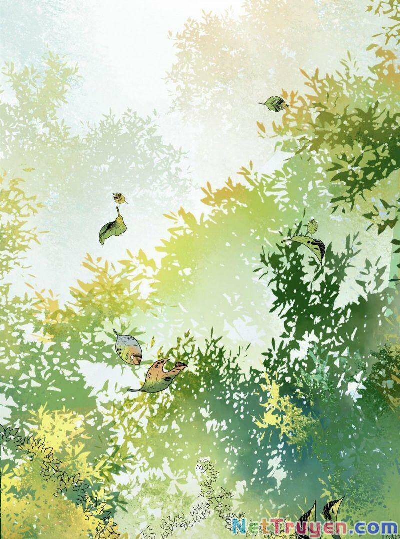 Nghịch Thiên Thần Phi Chí Thượng Chapter 3 - Trang 2