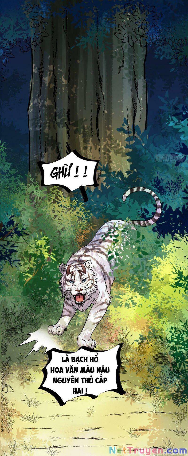 Nghịch Thiên Thần Phi Chí Thượng Chapter 3 - Trang 2