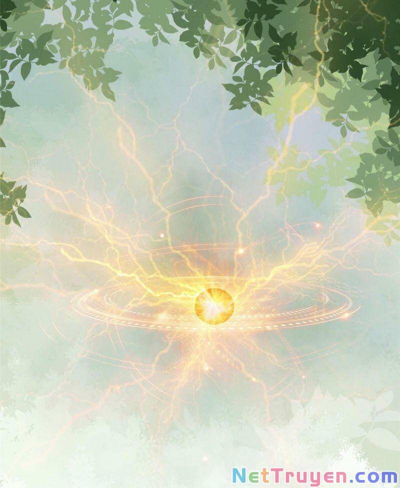 Nghịch Thiên Thần Phi Chí Thượng Chapter 3 - Trang 2