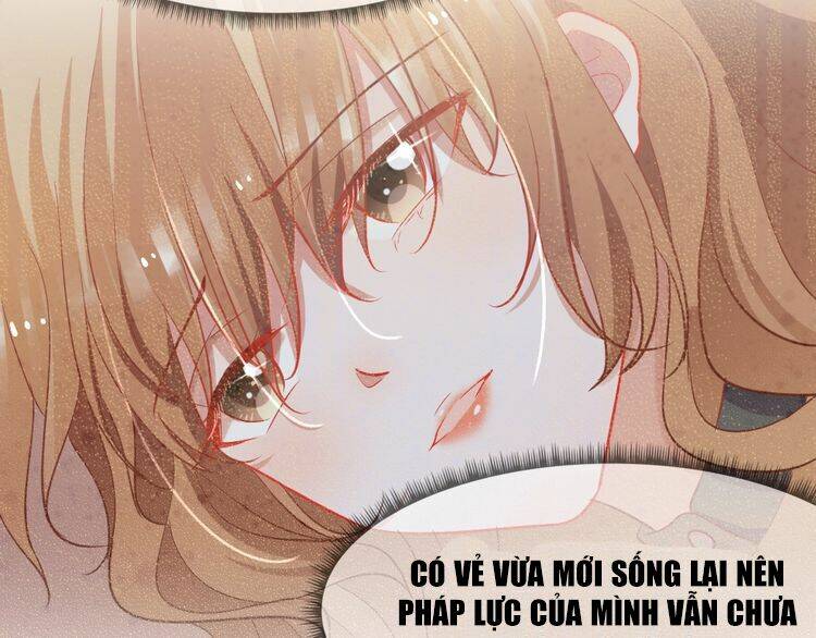 Nghiêm Tuyển Tiên Thê Chapter 23 - Trang 2