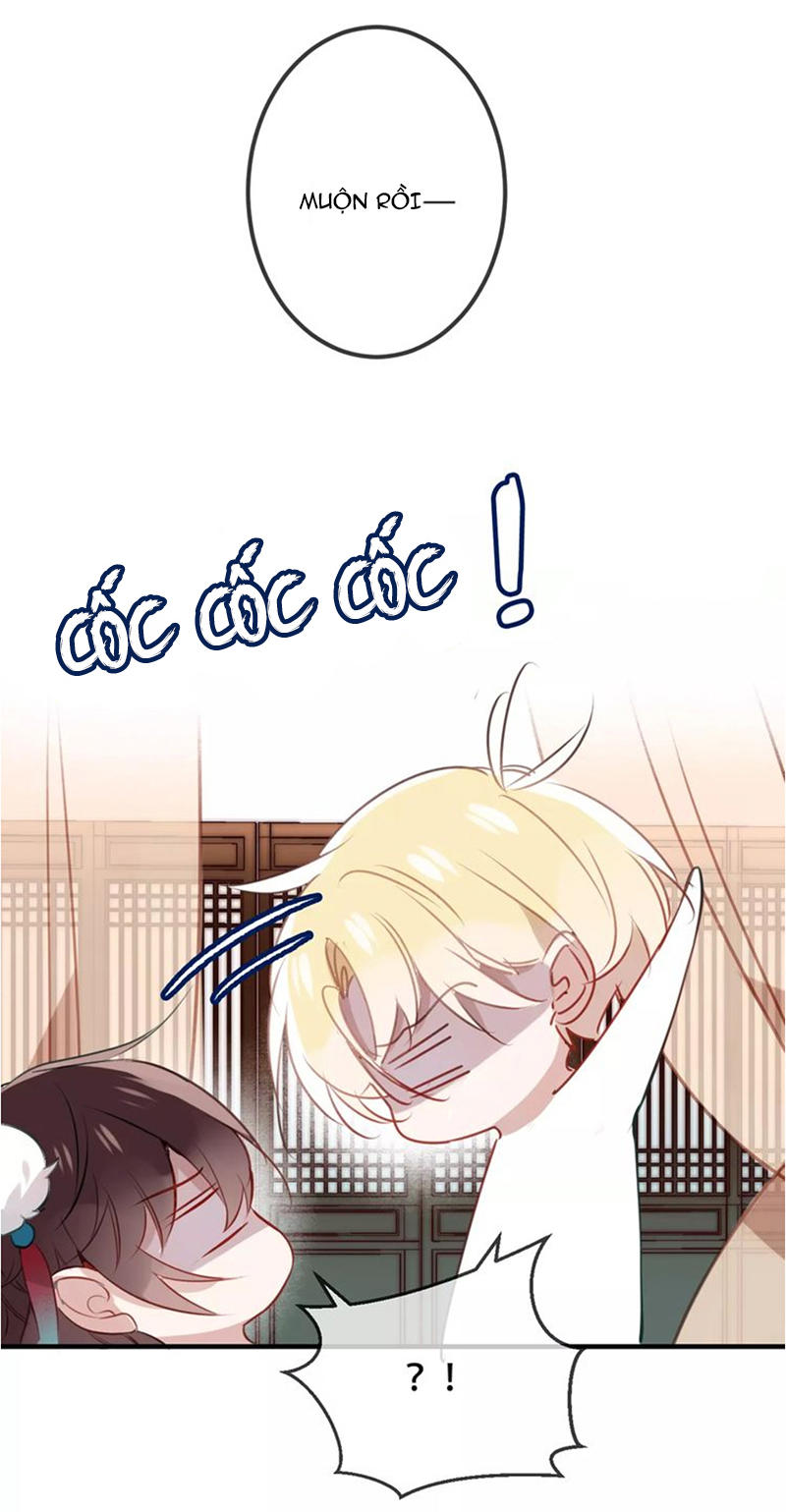 Ngô Hoàng Tại Thượng Chapter 10 - Trang 2