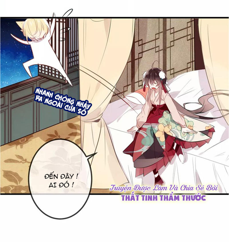 Ngô Hoàng Tại Thượng Chapter 10 - Trang 2