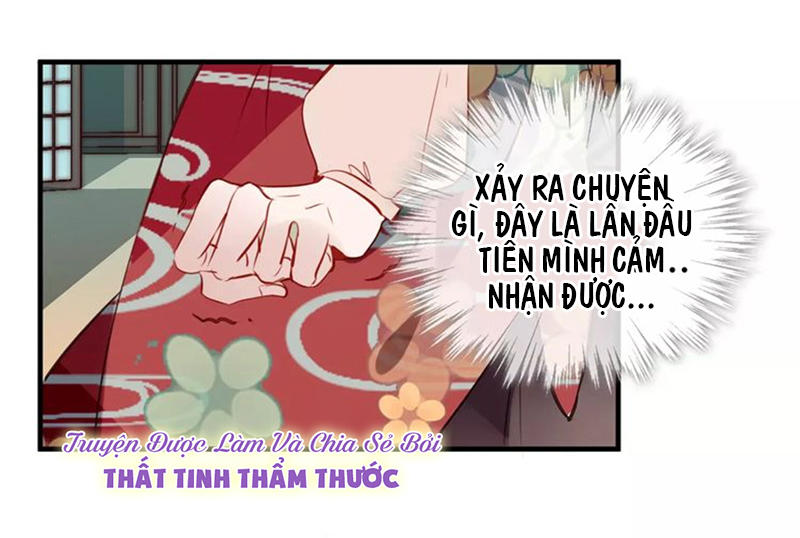 Ngô Hoàng Tại Thượng Chapter 10 - Trang 2