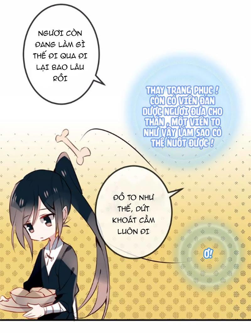 Ngô Hoàng Tại Thượng Chapter 11 - Trang 2