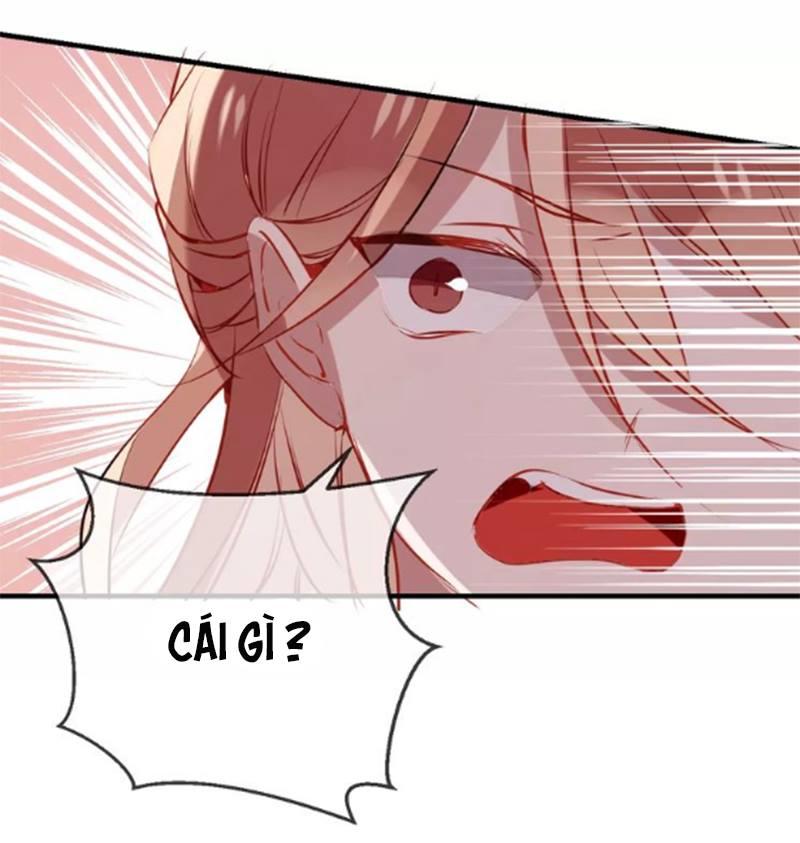 Ngô Hoàng Tại Thượng Chapter 11 - Trang 2