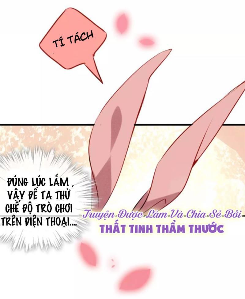 Ngô Hoàng Tại Thượng Chapter 11 - Trang 2