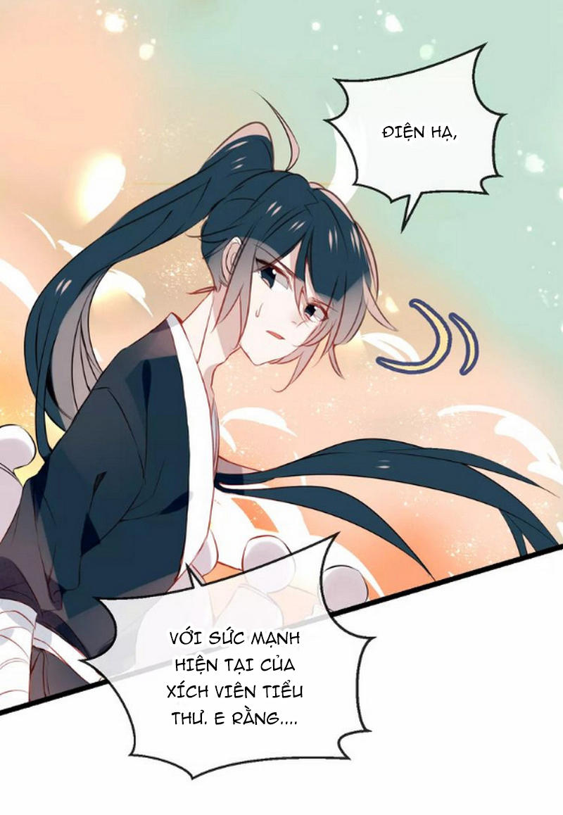 Ngô Hoàng Tại Thượng Chapter 13 - Trang 2