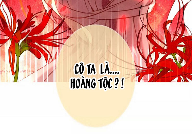 Ngô Hoàng Tại Thượng Chapter 13 - Trang 2