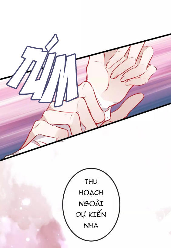 Ngô Hoàng Tại Thượng Chapter 14 - Trang 2