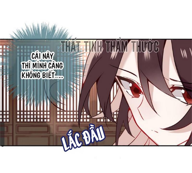 Ngô Hoàng Tại Thượng Chapter 19 - Trang 2