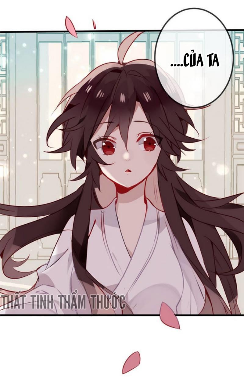 Ngô Hoàng Tại Thượng Chapter 19 - Trang 2