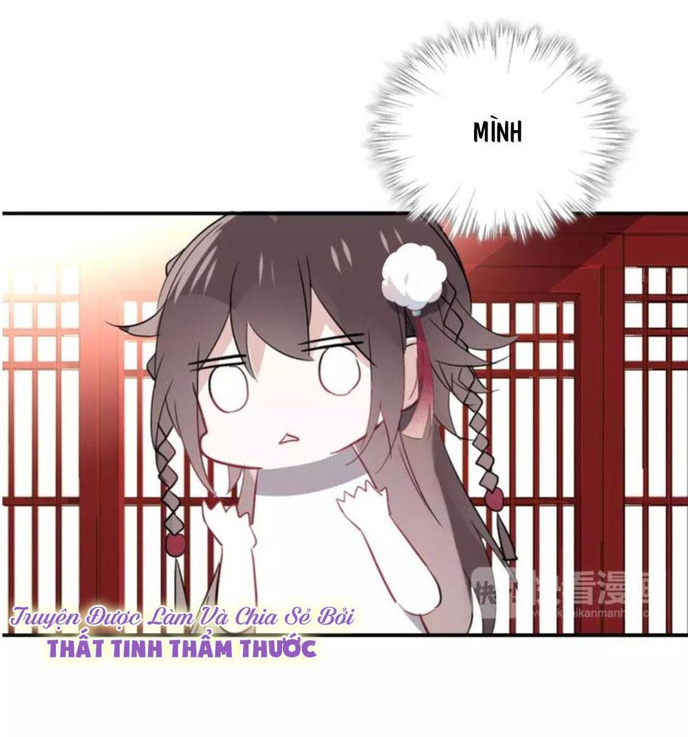 Ngô Hoàng Tại Thượng Chapter 2 - Trang 2