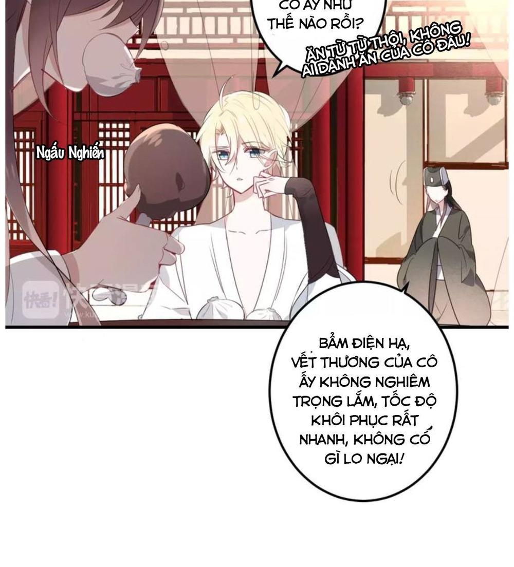 Ngô Hoàng Tại Thượng Chapter 2 - Trang 2