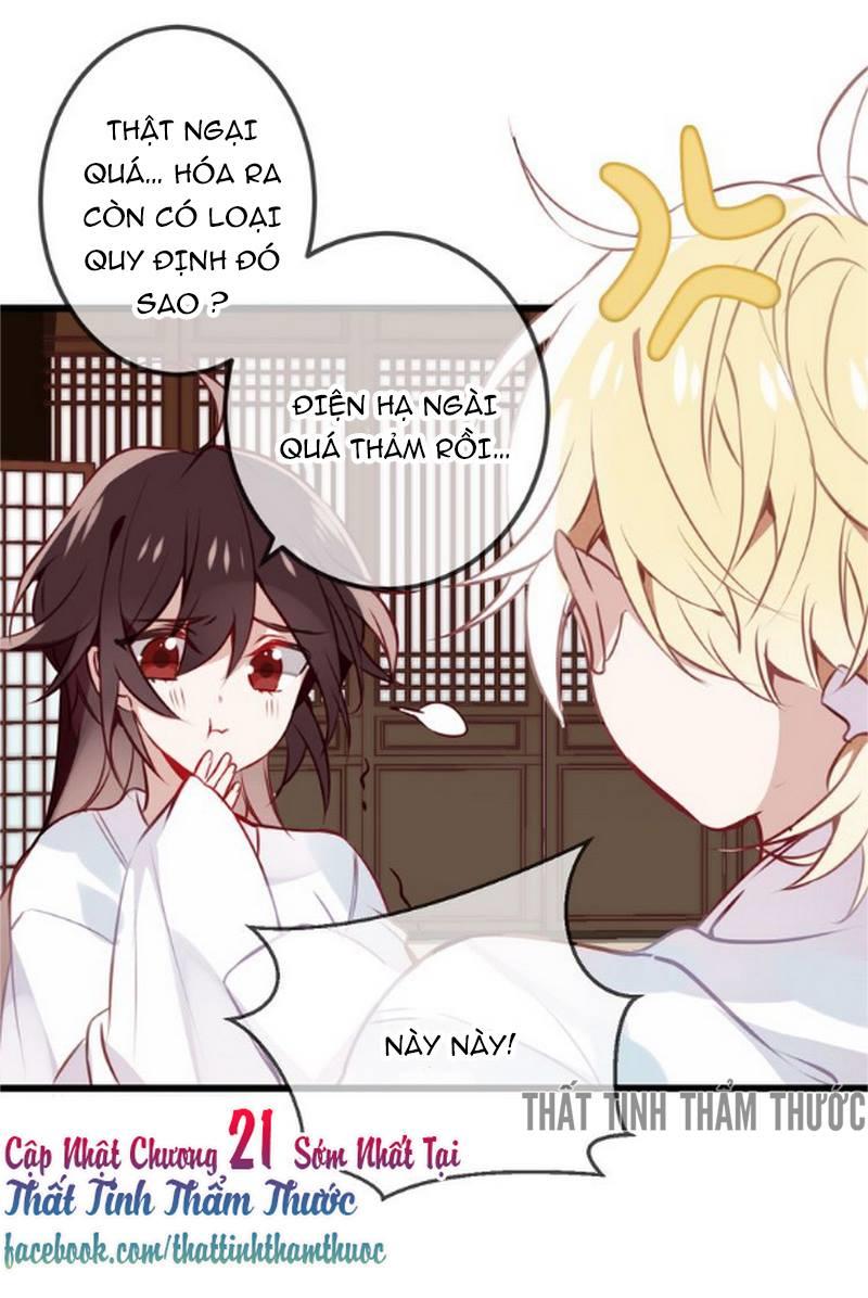 Ngô Hoàng Tại Thượng Chapter 20 - Trang 2