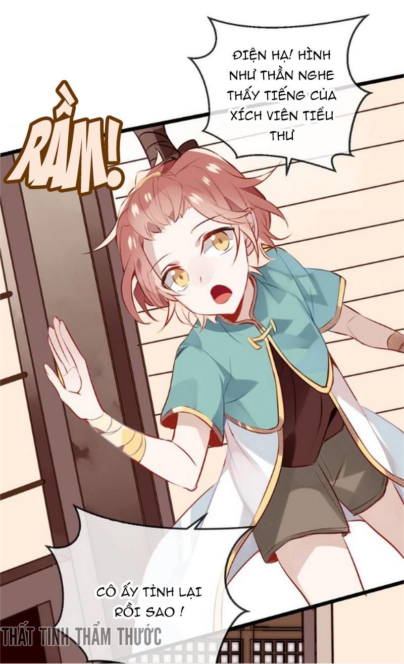 Ngô Hoàng Tại Thượng Chapter 20 - Trang 2