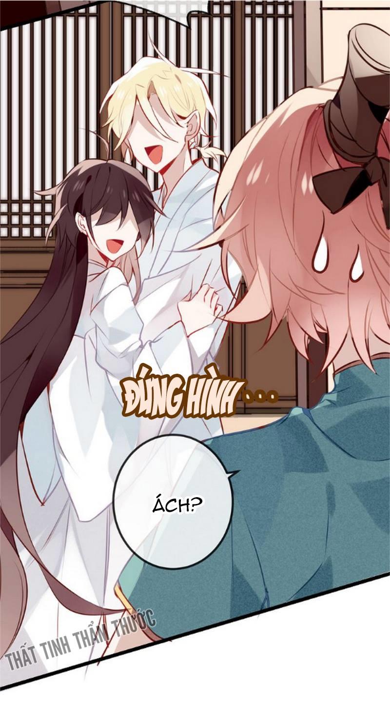 Ngô Hoàng Tại Thượng Chapter 20 - Trang 2